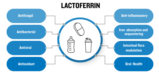 Lactoferrin_Graphic_For_Blog-01